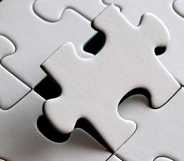 Fractional Leadership & Management Support